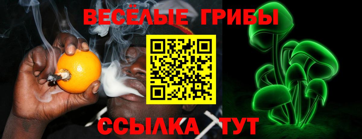 Пыть-Ях  Галлюциногенные грибы Cubensis  Вход с VPN 